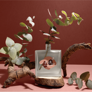 小拾光 無盡玫瑰 擴香｜Endless Rose (50ml/瓶)