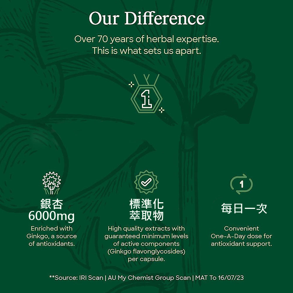 【Thompson's 湯普森】 Ginkgo 6000mg 銀杏膠囊 60 粒（國際航空版）