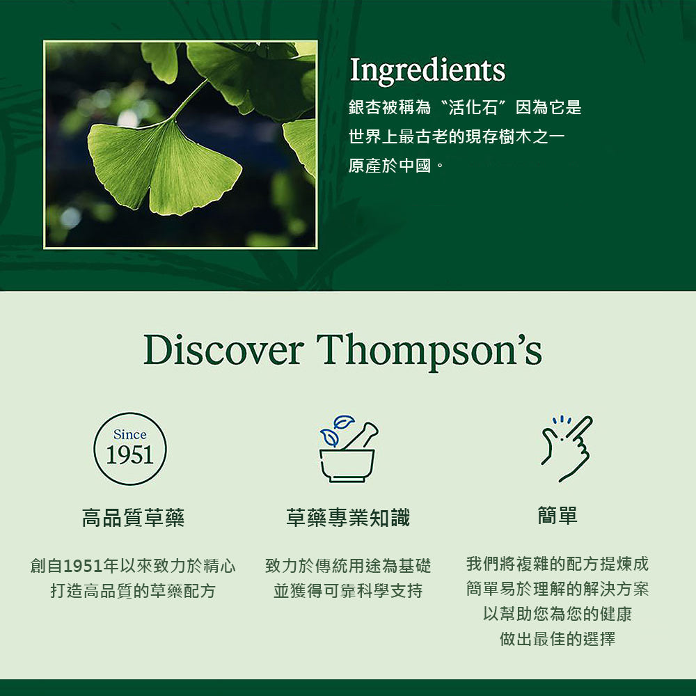 【Thompson's 湯普森】 Ginkgo 6000mg 銀杏膠囊 60 粒（國際航空版）