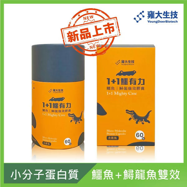 【術後保健品】1+1 鱷有力｜鱷魚鱘龍強效膠囊 (60粒)