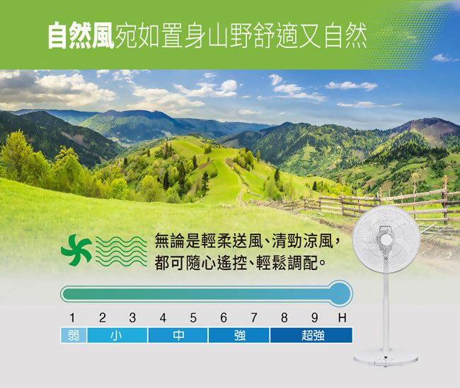 SANLUX台灣三洋14吋DC直流遙控電風扇 EF-P14DBS1